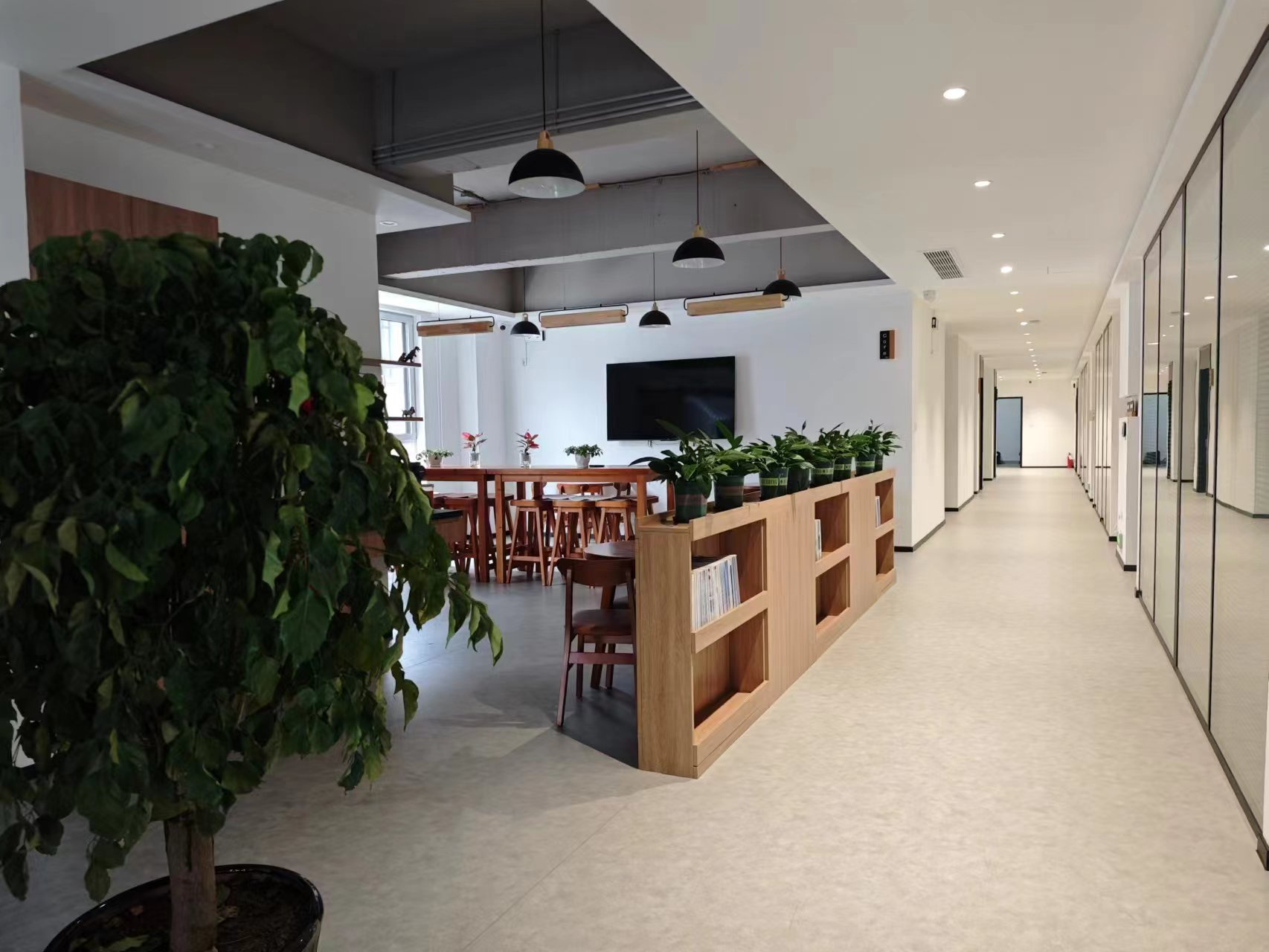 图片3.png 图片3.png